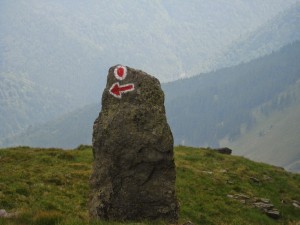 IMG_1627